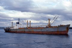 Thumbnail Image for Amadeo oncontextmenu=