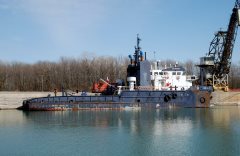 Thumbnail Image for Jane Ann IV