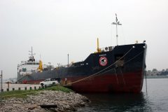 Thumbnail Image for Algosar