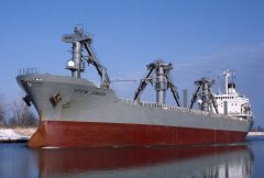 Thumbnail Image for Efdim Junior oncontextmenu=