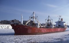 Thumbnail Image for Poli II oncontextmenu=