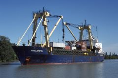 Thumbnail Image for Stellanova