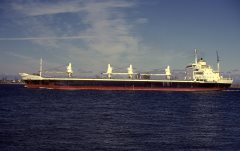 Thumbnail Image for Alpha Doric oncontextmenu=