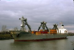 Thumbnail Image for Efdim Hope