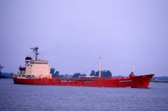 Thumbnail Image for Golden Navigator