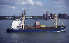 Thumbnail Image for Jumbo Stellatwo