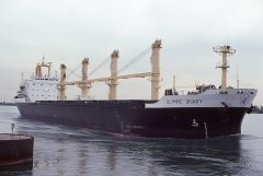 Thumbnail Image for Olympic Dignity