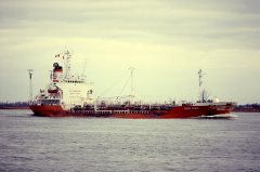 Thumbnail Image for Shoun Venus oncontextmenu=