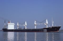 Thumbnail Image for Sylvo oncontextmenu=