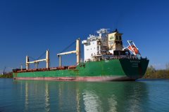 Thumbnail Image for Barnacle oncontextmenu=