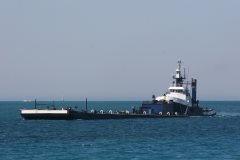 Thumbnail Image for Anglian Lady