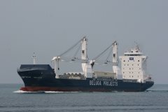 Thumbnail Image for Beluga Constitution.