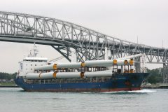 Thumbnail Image for Beluga Elegance oncontextmenu=