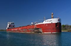 Thumbnail Image for CSL Welland