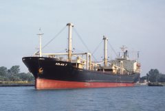 Thumbnail Image for Aglaia 7 oncontextmenu=