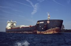 Thumbnail Image for Algoma Mariner oncontextmenu=