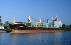 Thumbnail Image for Celia Dan oncontextmenu=