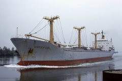 Thumbnail Image for Garefowl oncontextmenu=