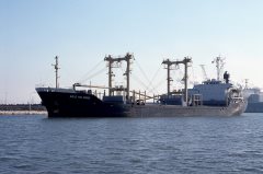 Thumbnail Image for Ho Ming No. 5 oncontextmenu=