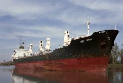 Thumbnail Image for Sea Peony oncontextmenu=