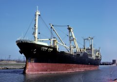 Thumbnail Image for Jane Ann oncontextmenu=