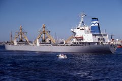 Thumbnail Image for Anangel Honour oncontextmenu=