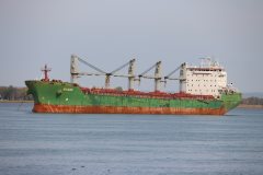 Thumbnail Image for Wigeon oncontextmenu=