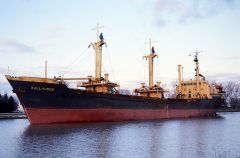 Thumbnail Image for Kallifimos