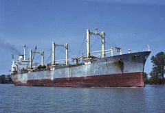 Thumbnail Image for Aristeus