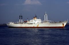 Thumbnail Image for Nicolas P.