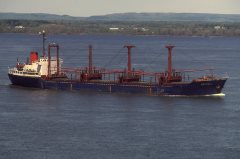 Thumbnail Image for Seagull oncontextmenu=