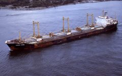 Thumbnail Image for South Wind