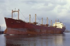 Thumbnail Image for Timur Swift oncontextmenu=