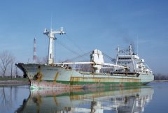 Thumbnail Image for Penalara