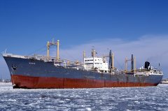 Thumbnail Image for Alfito oncontextmenu=