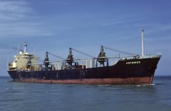 Thumbnail Image for Antonios