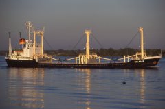 Thumbnail Image for Balsa 8 oncontextmenu=