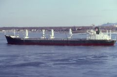 Thumbnail Image for Carrianna Primrose oncontextmenu=