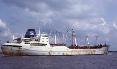 Thumbnail Image for Dolly Skou oncontextmenu=