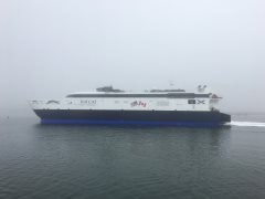 Thumbnail Image for Alakai - The Cat oncontextmenu=