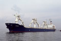 Thumbnail Image for Ghikas oncontextmenu=