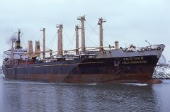 Thumbnail Image for Jalagodavari oncontextmenu=