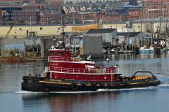 Thumbnail Image for Iona McAllister