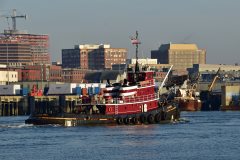 Thumbnail Image for Iona McAllister