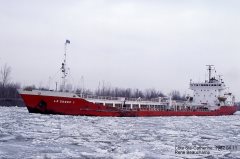 Thumbnail Image for Le Cedre 1