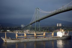 Thumbnail Image for Michalis Lemos oncontextmenu=