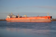 Thumbnail Image for Eagle Brasilia oncontextmenu=