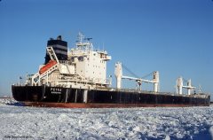 Thumbnail Image for Petka