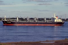 Thumbnail Image for Thekos