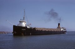 Thumbnail Image for Heron Bay